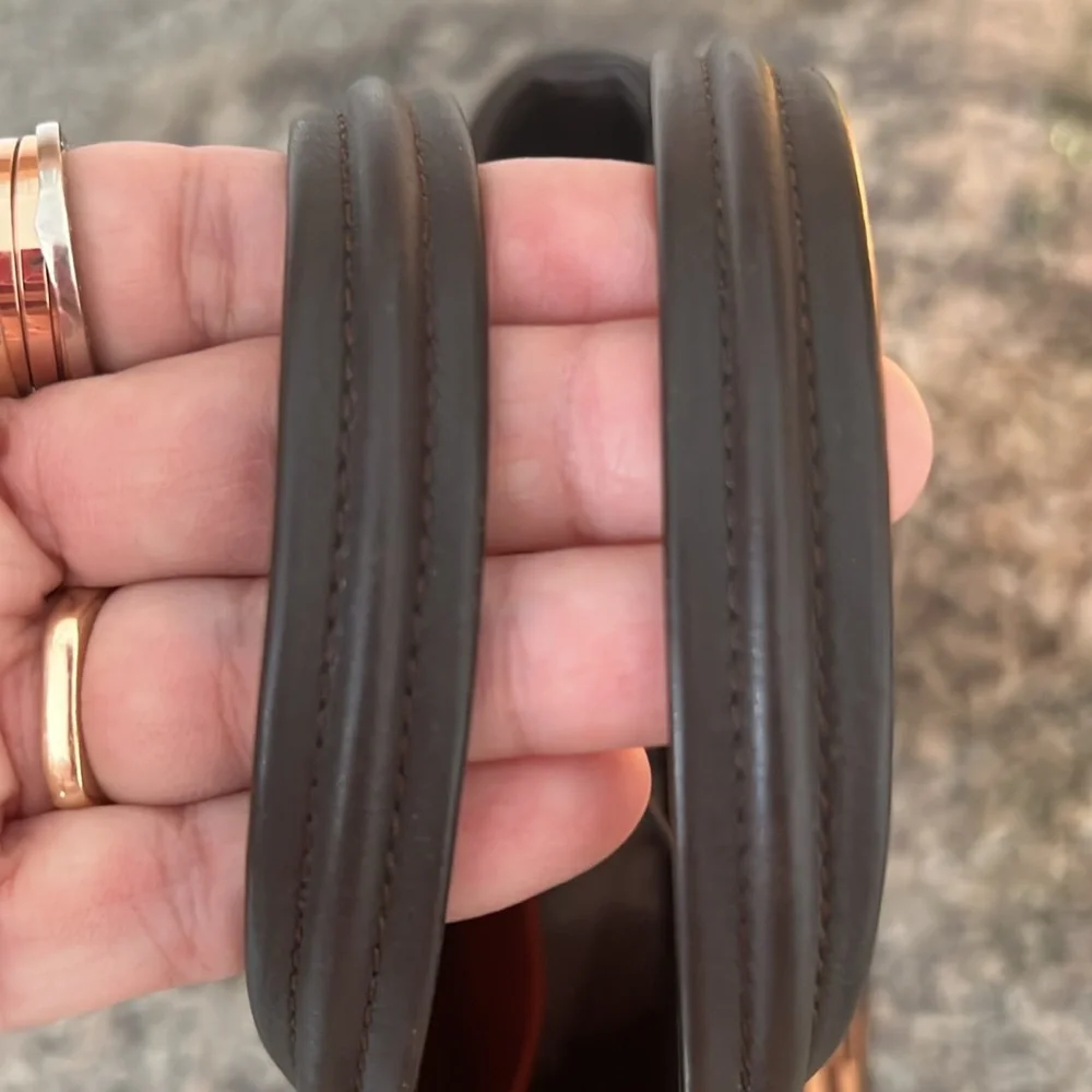 Louis Vuitton this authentic